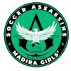 刺客女足